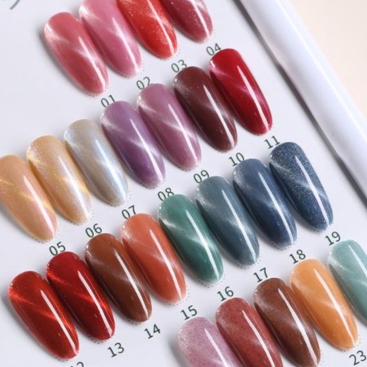 Sơn gel mắt mèo vendeeni 15ml