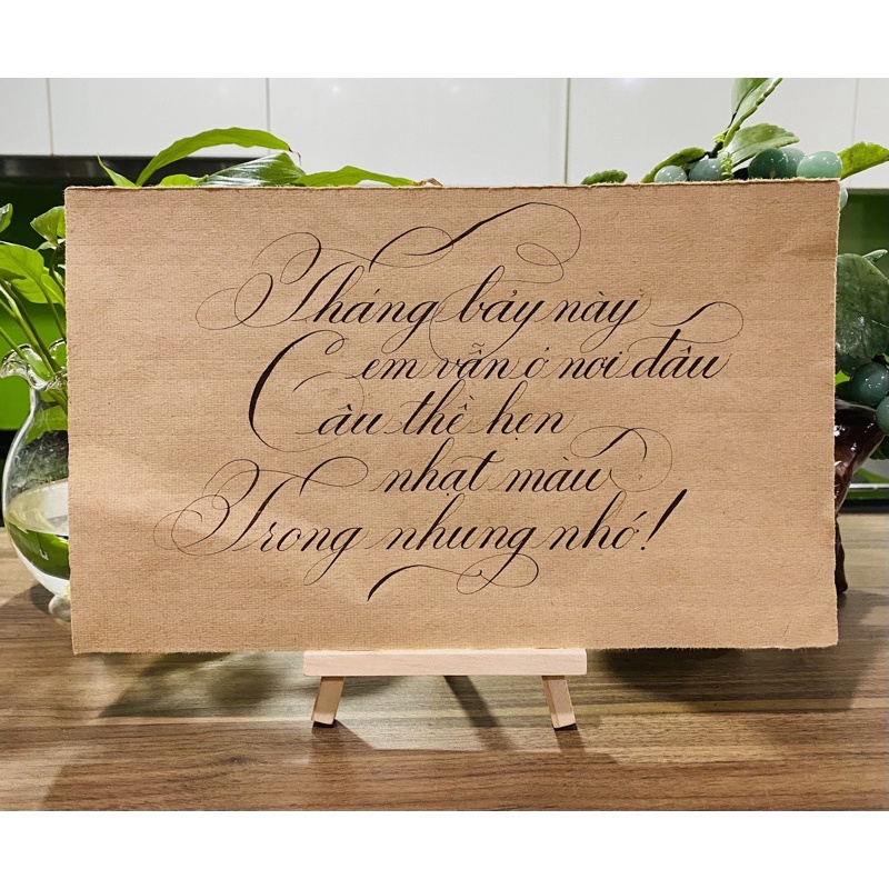 Trọn Bộ Workbook Và Dụng Cụ Tập Viết Copperplate Calligraphy Dành Cho Người Mới Bắt Đầu -Tặng File Guideline