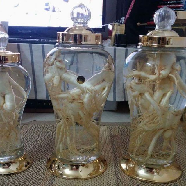 Bình rượu sâm nắp vàng 3 lít