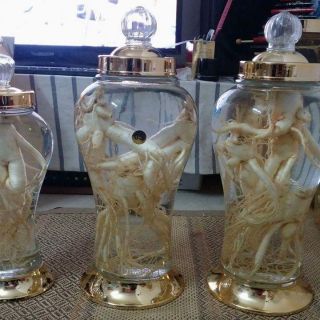 Bình rượu sâm nắp vàng 3 lít