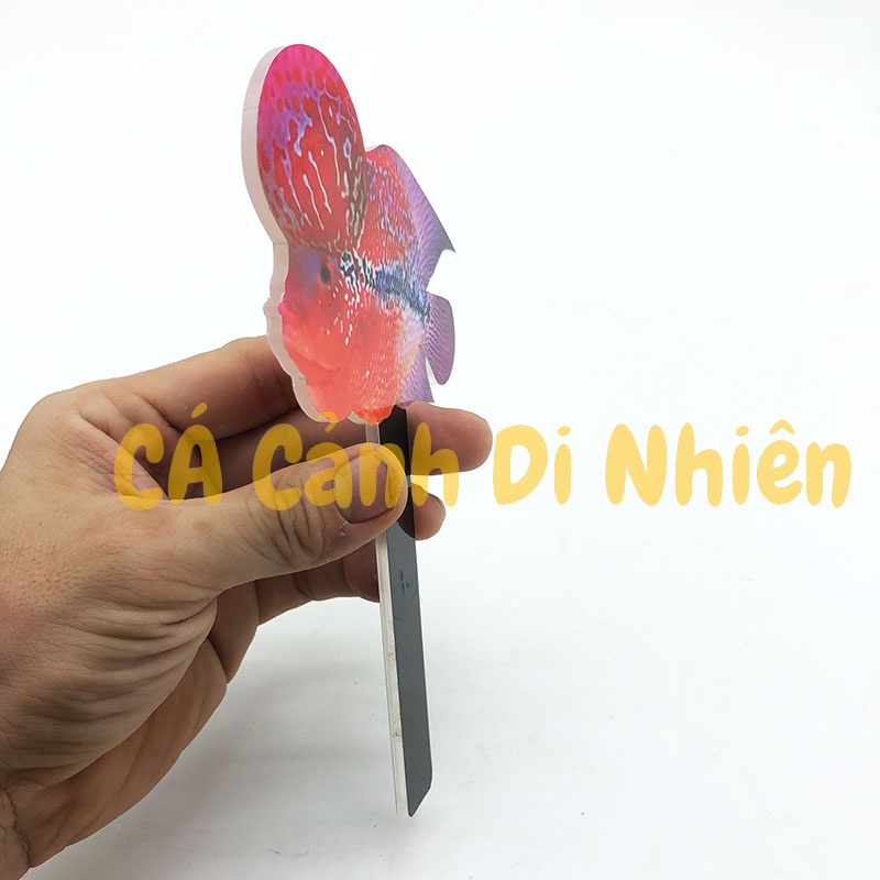 Cây kè cá la hán bằng nhựa mica cầm tay hình cá la hán