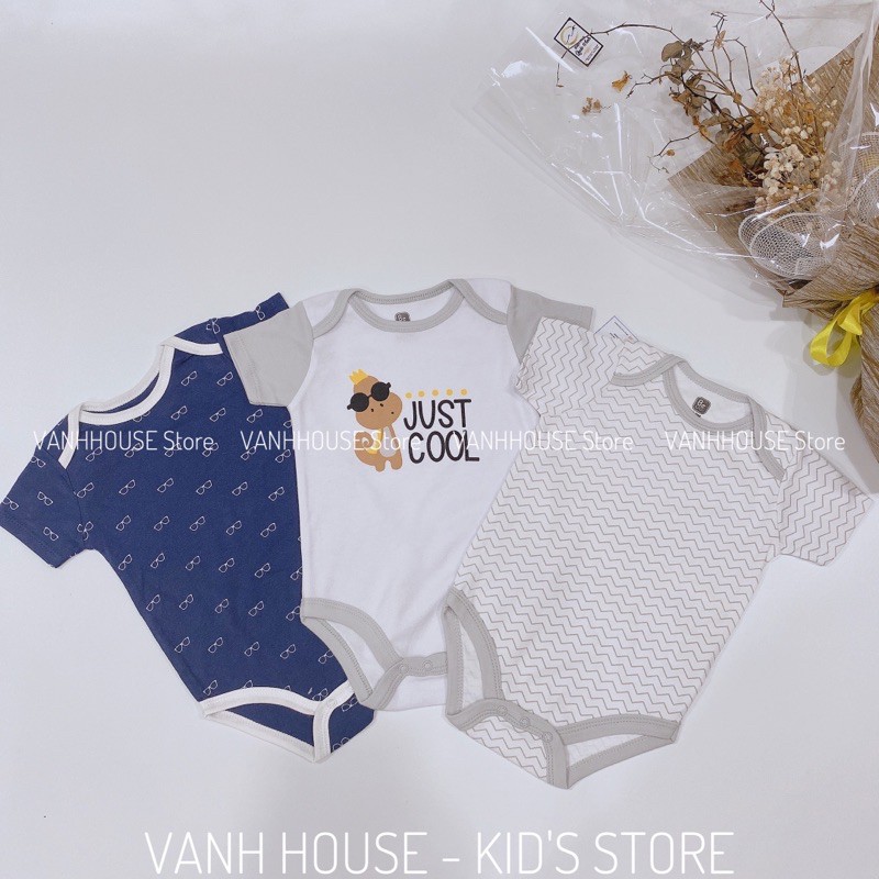 ‼️ Set 3 body chip xuất dư cotton co giãn 4 chiều 100% cotton