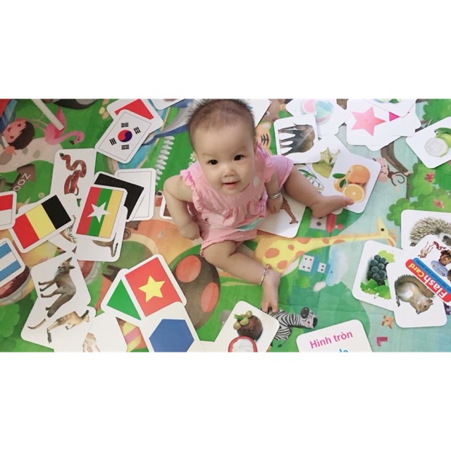 BỘ THẺ HỌC SONG NGỮ FLASH CARD ( pp GLENN DOMAN )