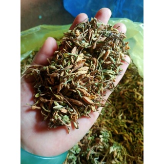 Hoa Đu Đủ Đực Khô