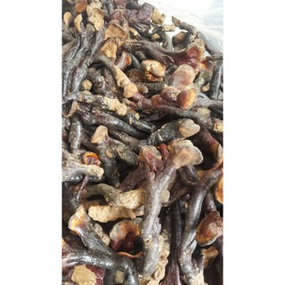 Nấm Lim rừng Quảng Nam