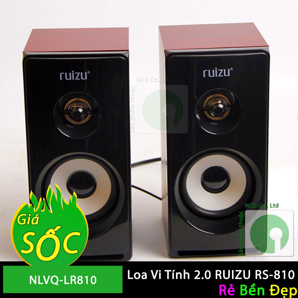 Loa Vi Tính 2.0 RUIZU RS-810