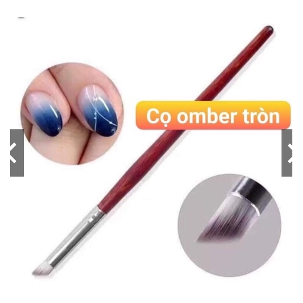 Cọ omber tròn , omber dẹt , cọ đầu fen