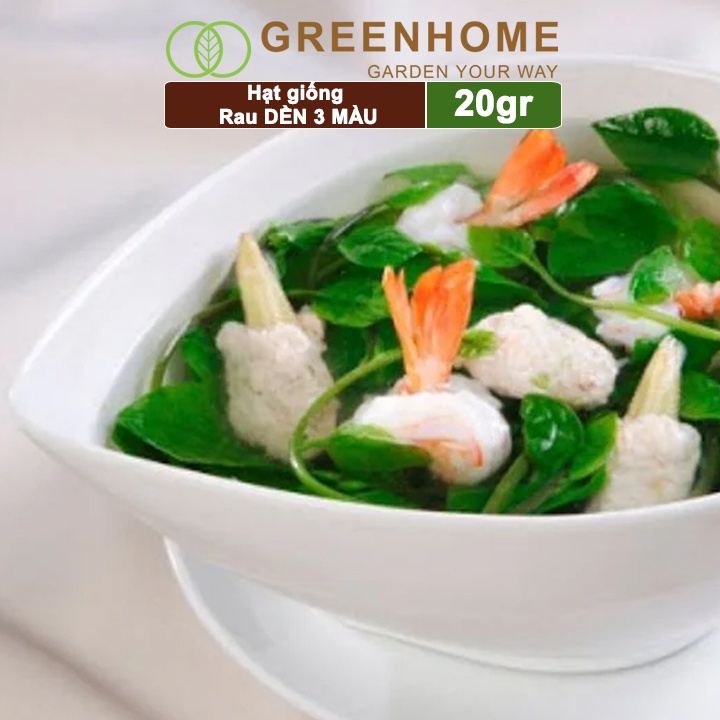 Hạt giống Rau Dền 3 màu, gói 20g , dễ trồng, thu hoạch nhanh R16 |Greenhome