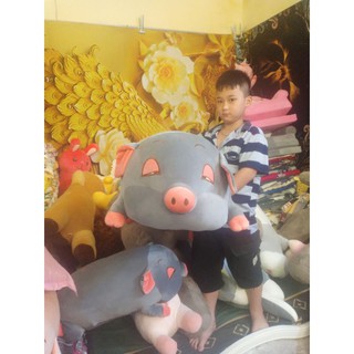 gấu heo mắt lim dim rễ thương