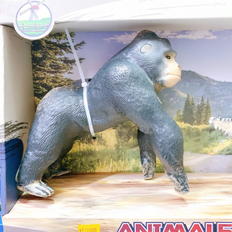 Mô hình King Kong và Cá Sấu size 20cm không pin bằng nhựa đồ chơi mô hình nhân vật cho bé