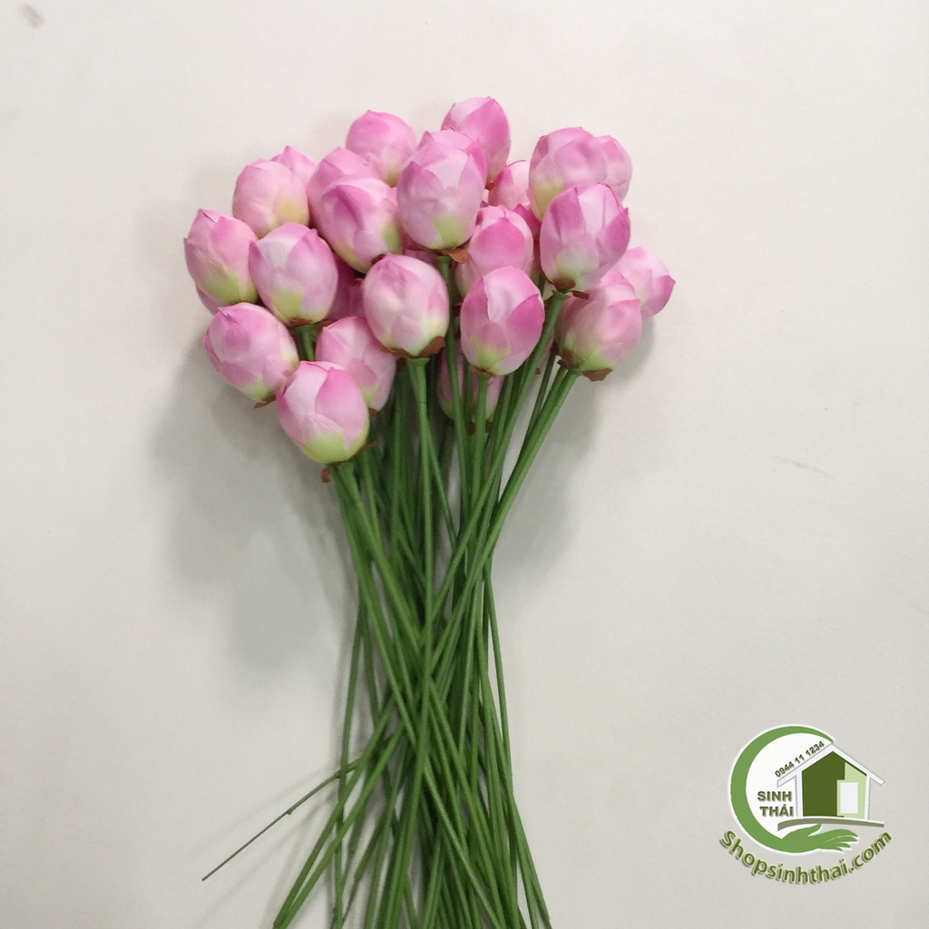 Cành hoa sen giả - bông sen vải lụa Thái Lan cao cấp - chọn bông