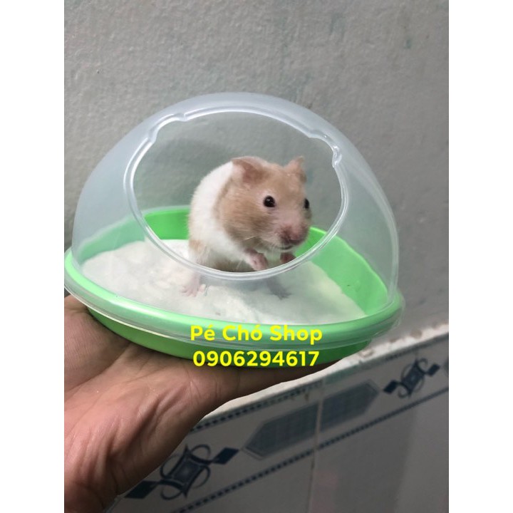 Nhà Tắm Cát lớn cho hamster Bear ,ngũ sắc .