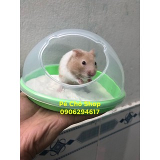 Nhà Tắm Cát lớn cho hamster Bear ,ngũ sắc .