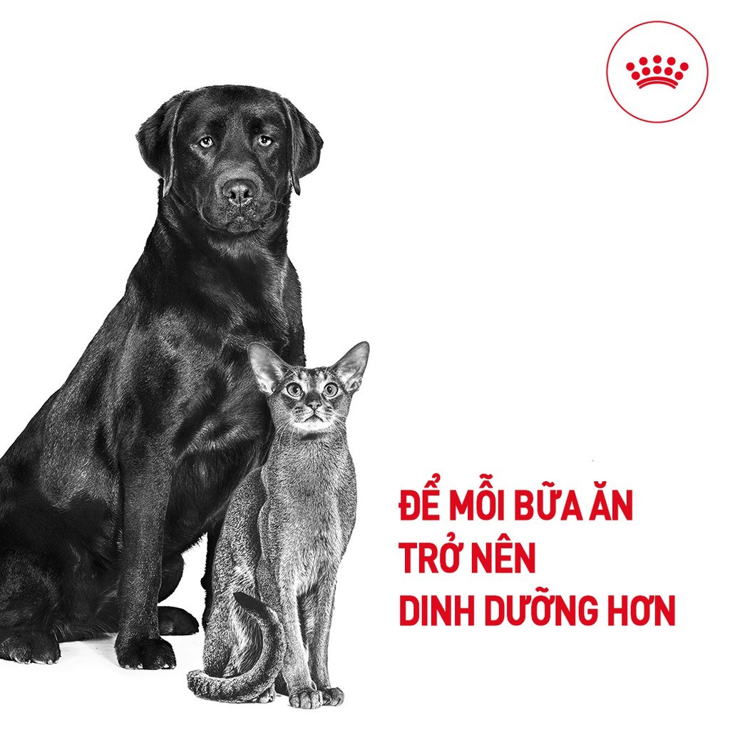 ROYAL CANIN - MINI PUPPY [ CHÍNH HÃNG ] - THỨC ĂN CHO CHÓ CON &lt;10KG