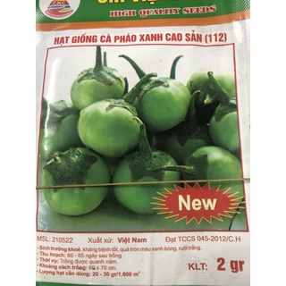 Hạt giống Cà pháo Xanh - Cà Tím 🍆 🌱