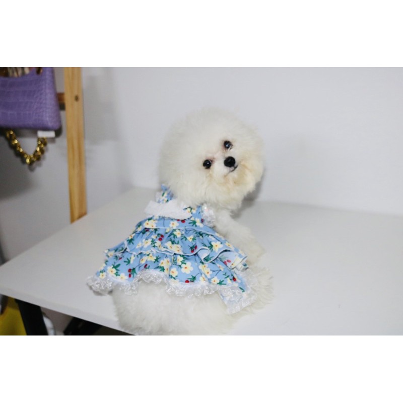 Đầm công chúa dễ thương cho thú cưng CARAPETS