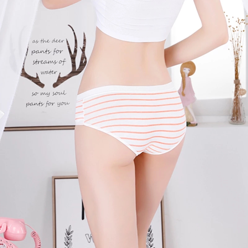 Quần Lót Cotton Không Đường May Họa Tiết Chim Hồng Hạc Dễ Thương Dành Cho Nữ | BigBuy360 - bigbuy360.vn