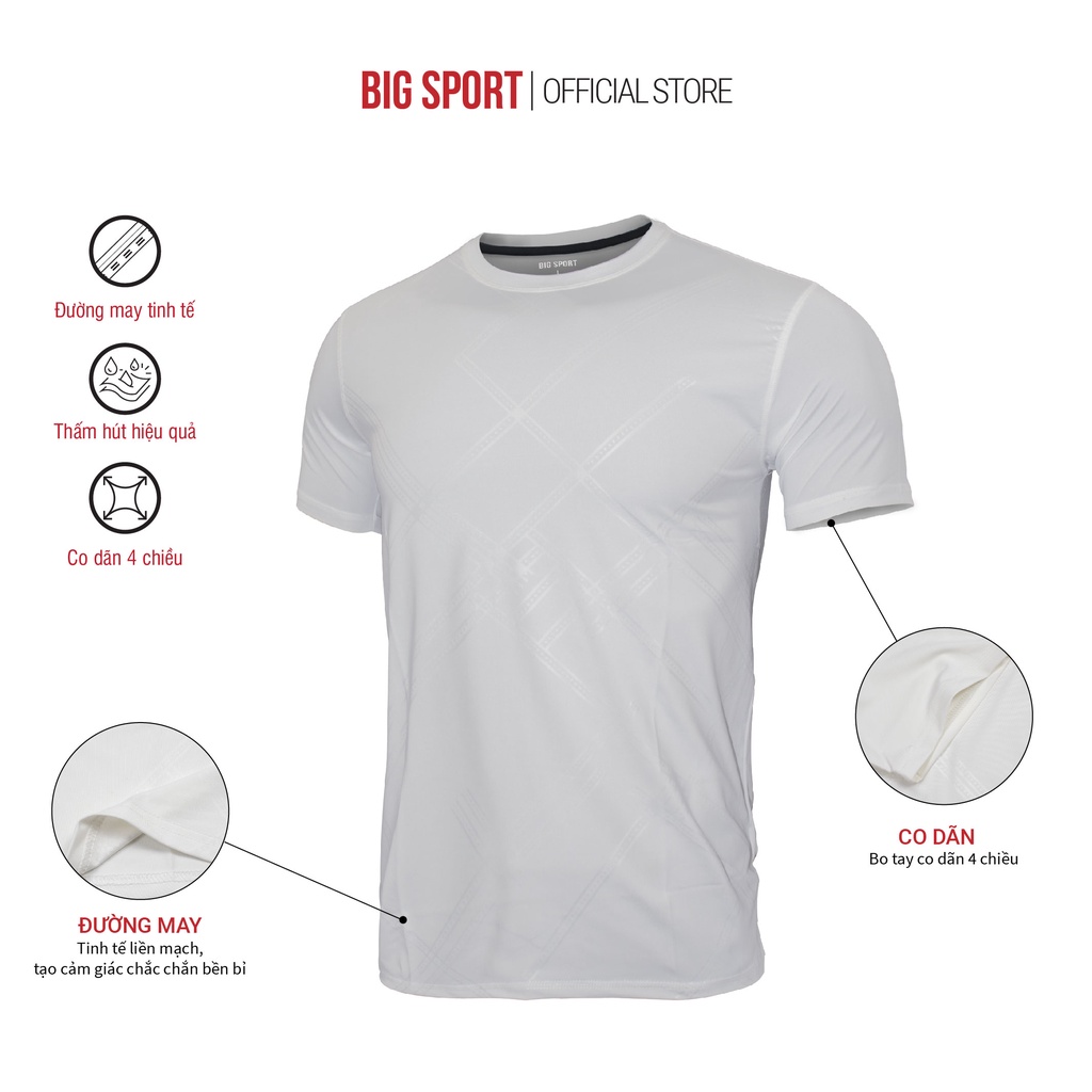 Áo Thun Nam Thể Thao Form Regular Unisex Trơn Basic Cổ Tròn Vải Poly Thun Lạnh Cao Cấp - Big Sport, BS00