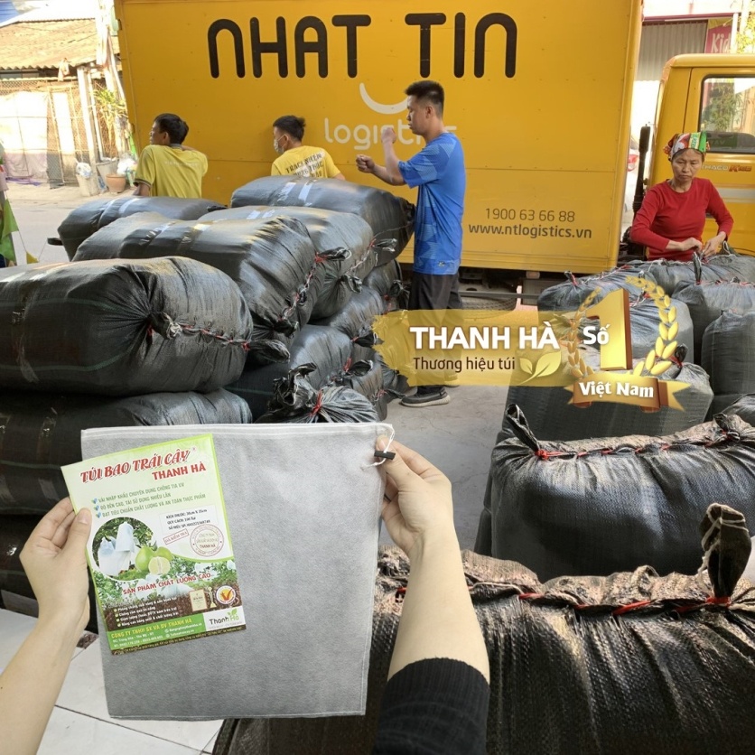 Bao trái cây, túi bọc trái cây Thanh Hà chất lượng cao kích thước 25x30cm - 100 cái