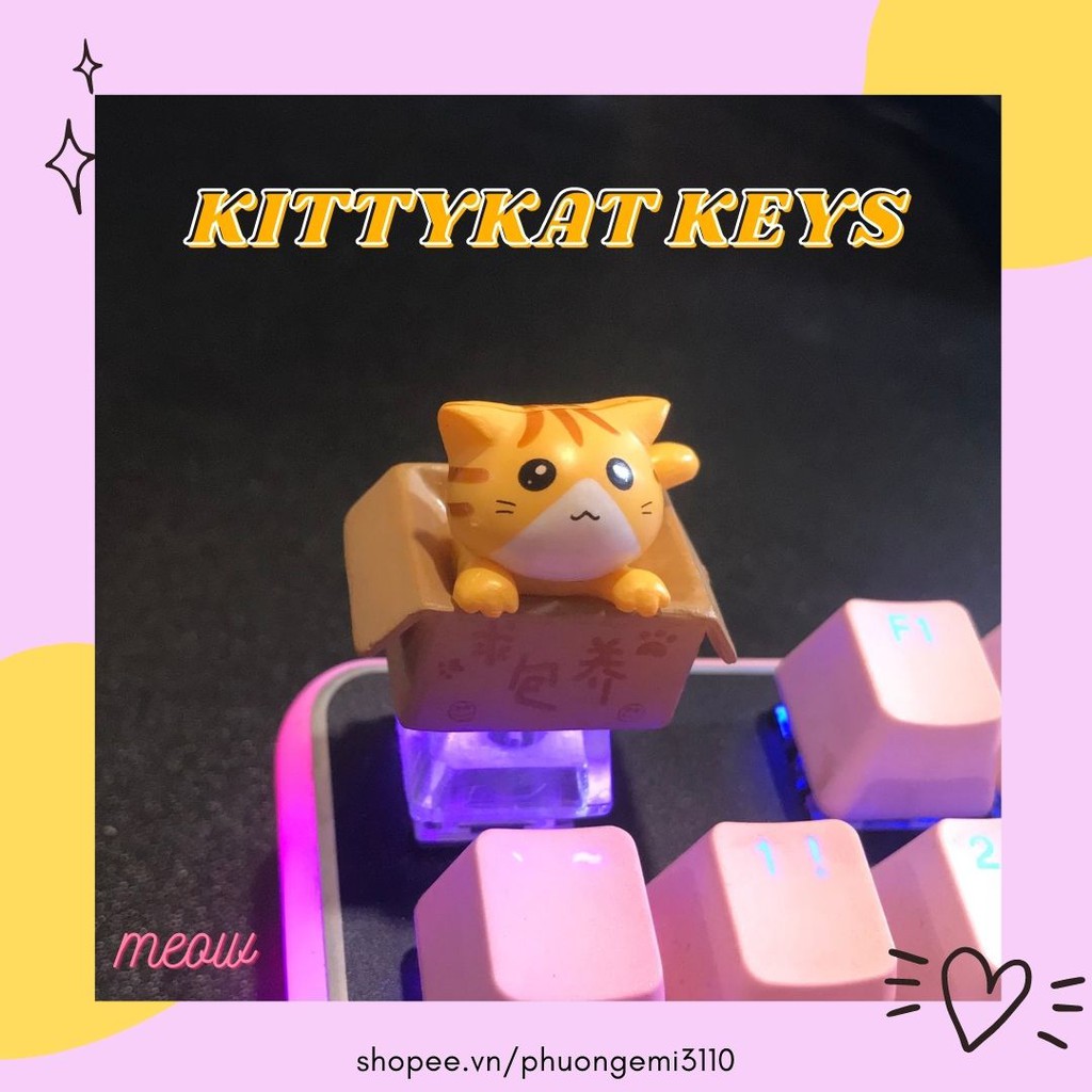 Keycap mèo con trong hộp  🐱 Keycaps xuyên led cat in box trang trí bàn phím cơ gaming