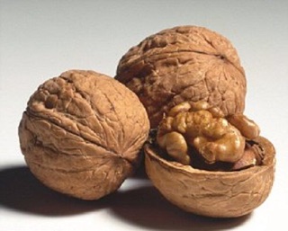 HẠT ÓC CHÓ HÀN QUỐC TÚI 1KG