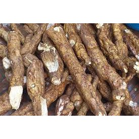 Bột sắn dây nguyên chất Thảo Mộc Xanh uống mát, đắp mặt đẹp da