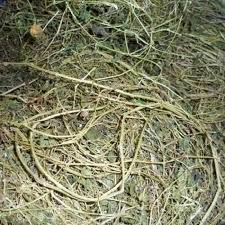 Dây Khổ Qua Rừng 500gram