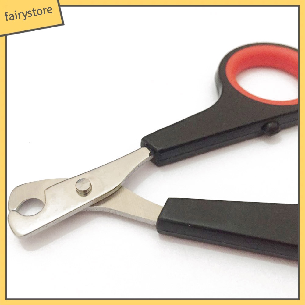 Đồ bấm móng an toàn cho thú cưng