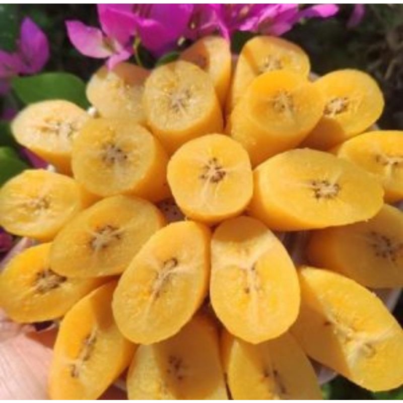 2Kg-Chuối sáp vàng cơm Bến Tre đặc sản
