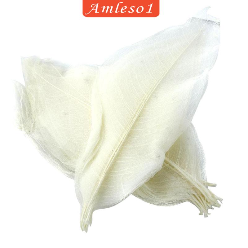 Set 50 Lá Mộc Lan Tự Nhiên Màu Trắng Amleso1 Dùng Trang Trí Sổ Tay