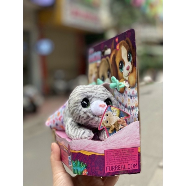 Đồ chơi mèo con có âm thanh - FurReal Newborns Kitty