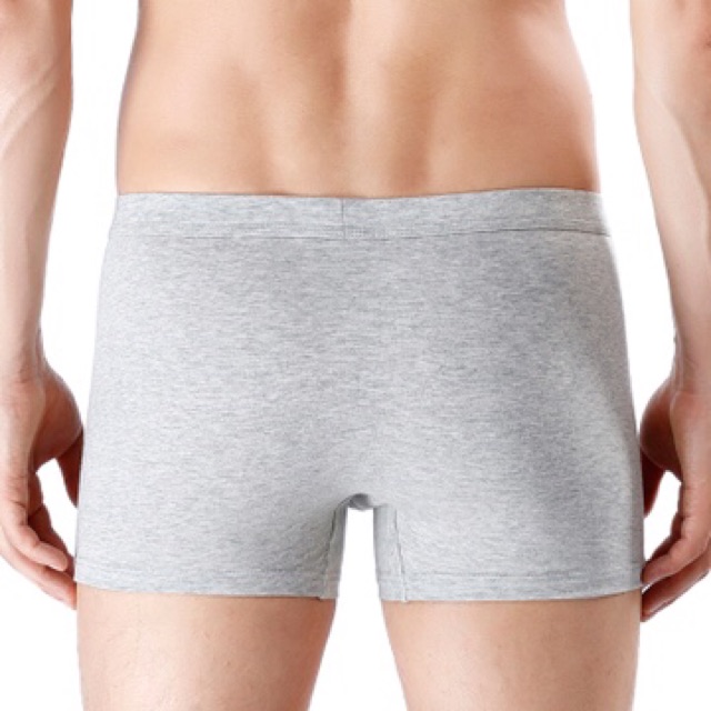 Boxer / Quần Lót Nam Cotton Co Giãn Bốn Chiều ( QL : 200 )