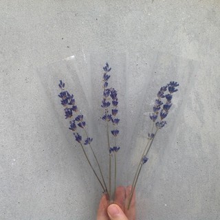 Set Bookmark Lavender Khô