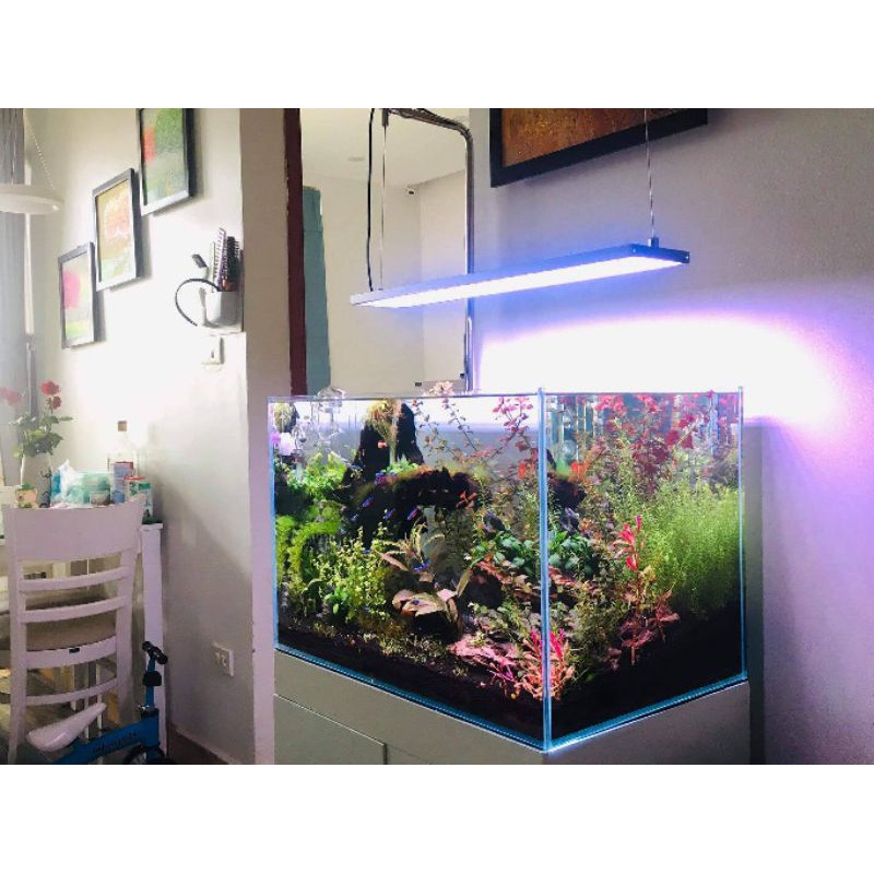 Giá đơn treo đèn bể cá