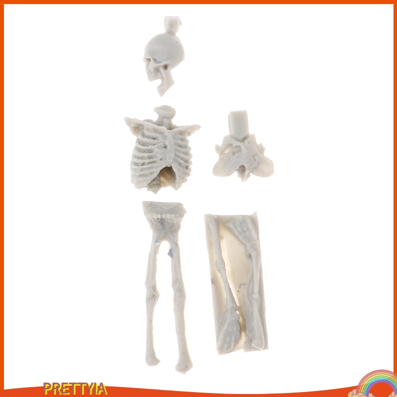 Mô Hình Bộ Xương Mini Bằng Nhựa Resin Tỉ Lệ 1: 35 Cho Đồ Chơi Diorama