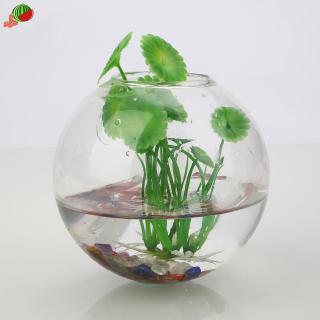 Bình hoa treo tường trang trí
