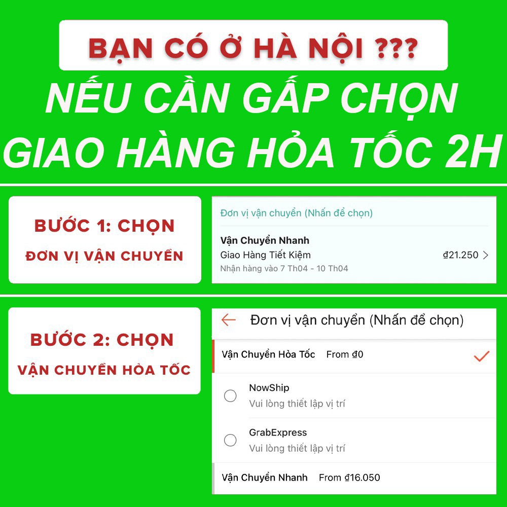 (Xanhshop22) Cây hoa nhài ta ( ảnh thật bên trong)