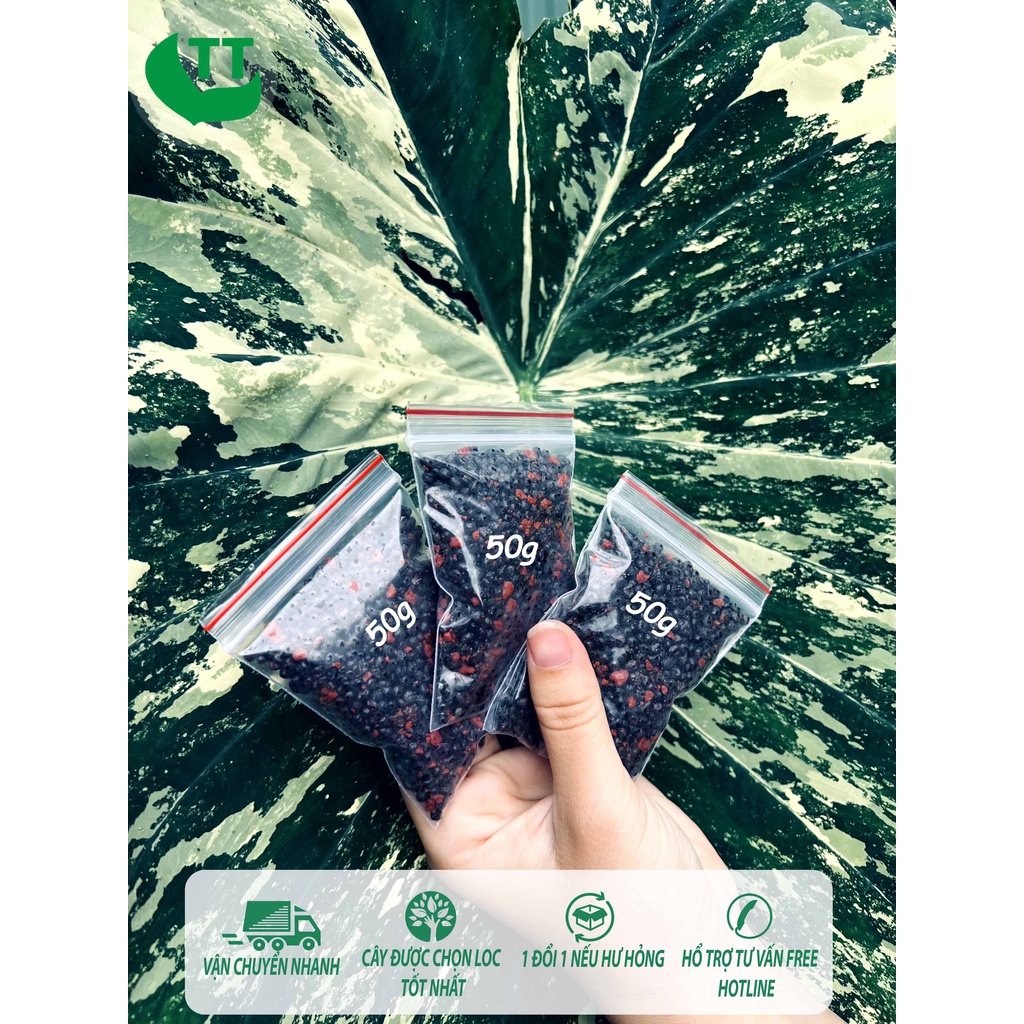 Phân tan chậm thông minh có kiểm soát Ryan cho kiểng lá, hoa lan, rau và cây ăn trái vừa và nhỏ, túi