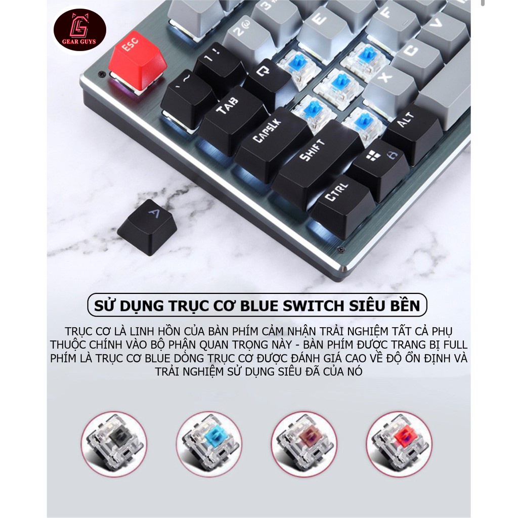 Bàn phím Cơ Bluetooth Không Dây XINMENG K950  Có Pin Sạc, LED Đẹp, Bàn phím Máy Tính PC Laptop, Máy Tính Bảng