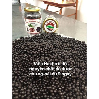 HÀ THỦ Ô ĐỎ NÚI ĐÁ HÀ GIANG