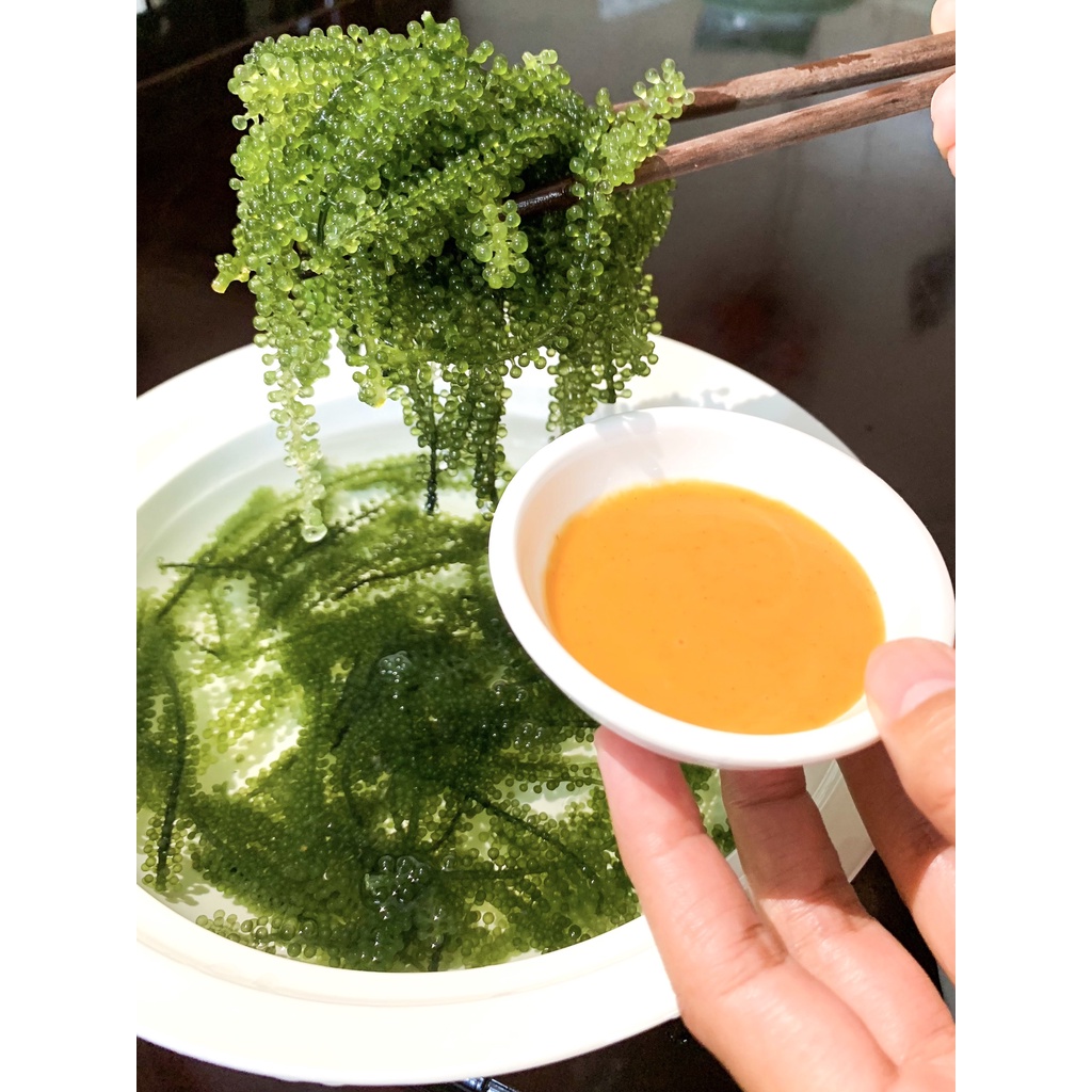 Gói 35gram Rong Nho Tách Nước Tasami Công Nghệ Tách Nước Tiêu Chuẩn Nhật Bản