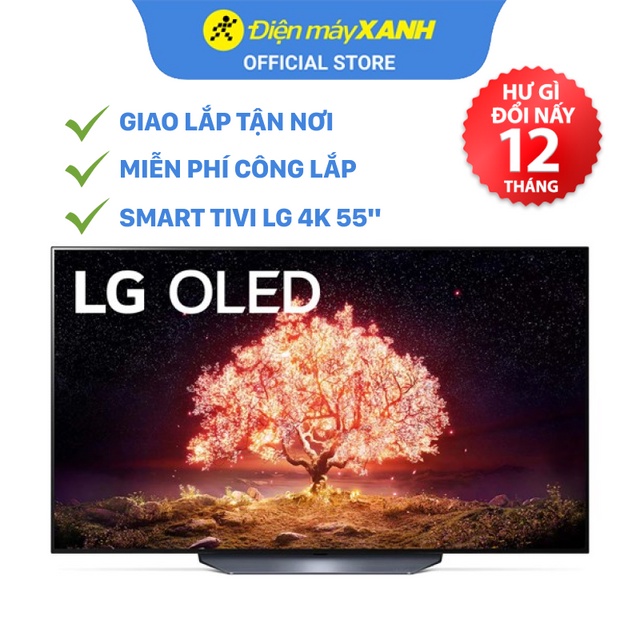 [FREESHIP] Smart Tivi OLED LG 4K 55 inch 55B1PTA