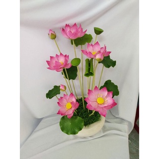 Chậu sen size trung cao 43 đến 45cm
