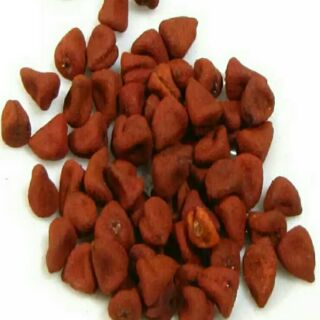 Hạt điều đỏ 1kg
