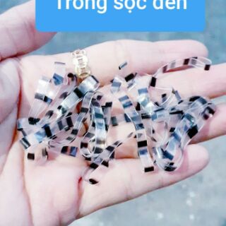 Túi thun cột tóc trong suốt (25g)