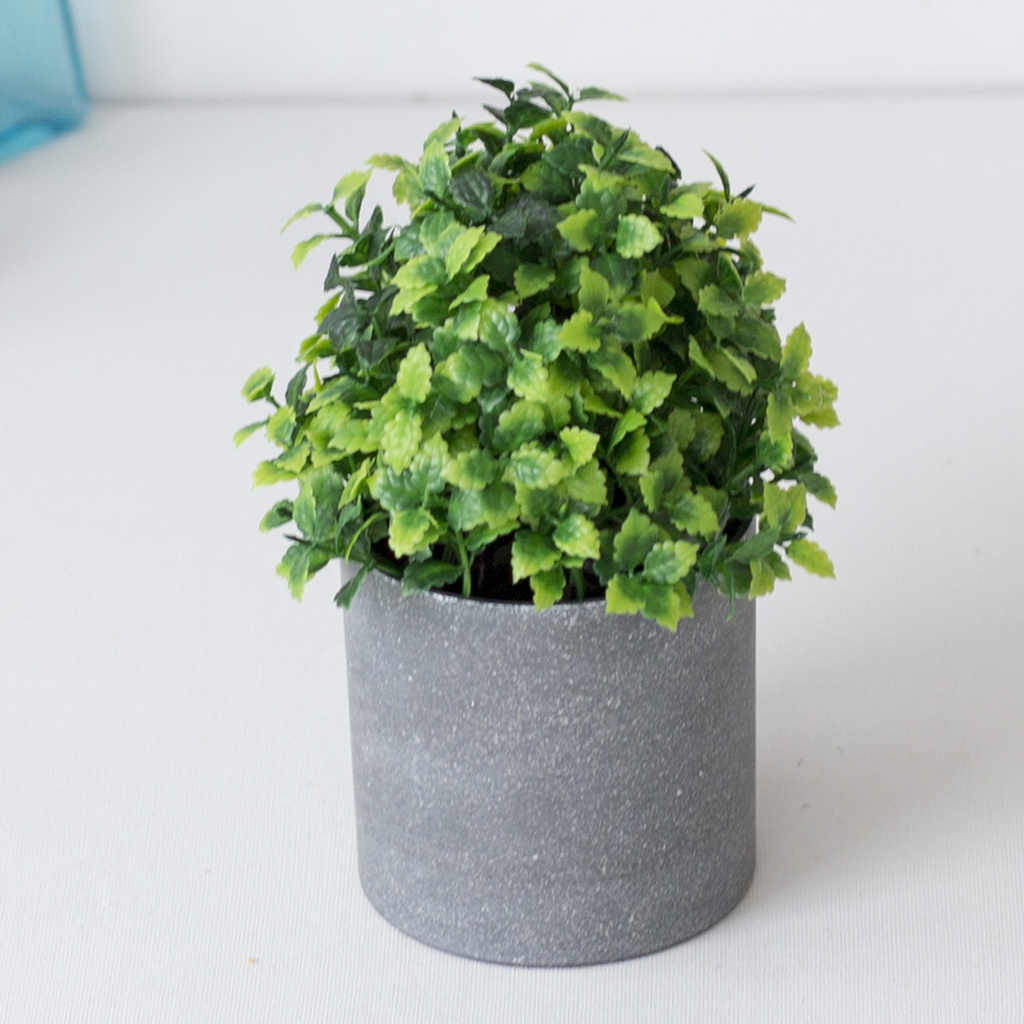 Chậu cây bonsai giả dành cho trang trí sân vườn