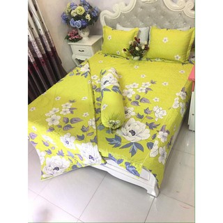 Bộ chăn ga phủ trần bông