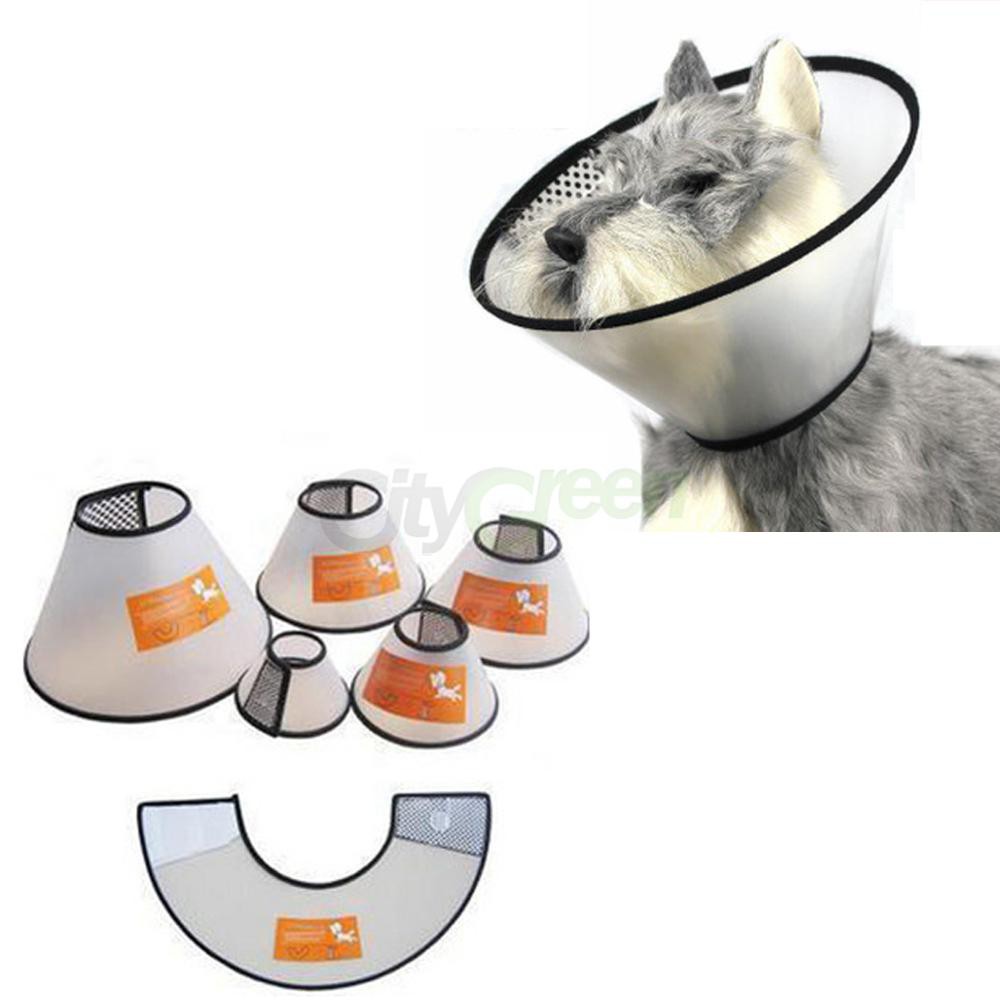 Vòng Cổ Chống Liếm Dogstory Cho Thú Cưng Chó Mèo - Leon Pet Store