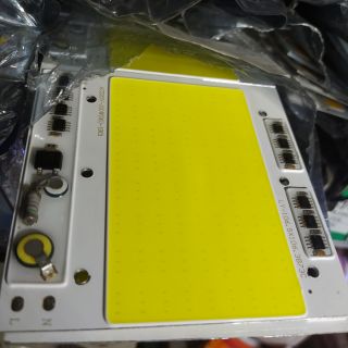 10 nhân led 100w điện 220v màu trắng