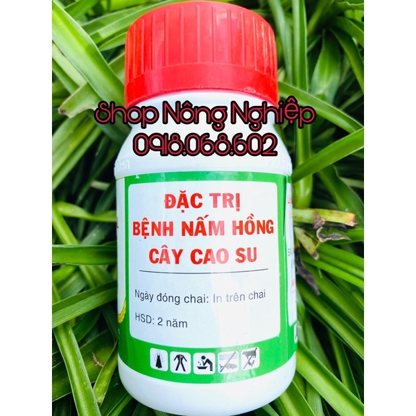 VALIDAD 100SL 100ml, sản phẩm sinh học phòng trừ Nấm Khuẩn cho cây trồng.